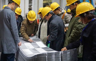 技術賦能產業(yè)升級 中石化上海工程醫(yī)藥食品專家團蒞臨艾克森工廠開展技術咨詢交流